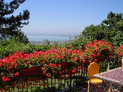 Blick vom Balkon