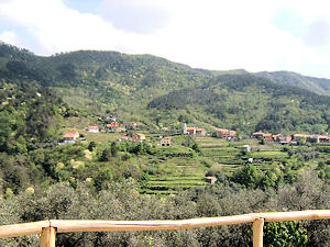 Blick von der Terrasse