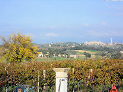 Weingut Rialto: Blick auf Montefalco