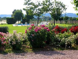 Blumenbeet am Rand der Liegewiese